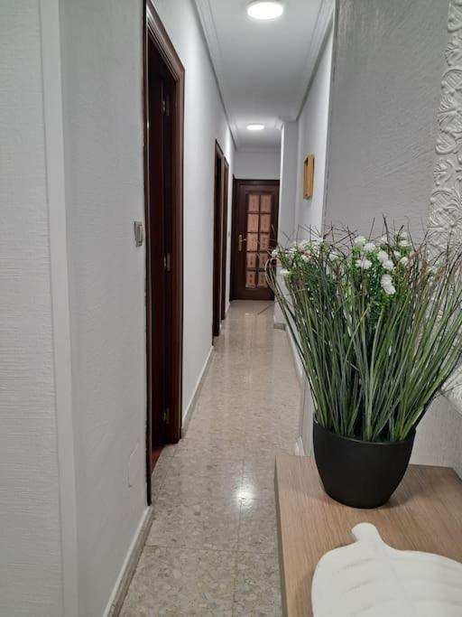 Alojamiento Comercio. Jaen Exterior photo